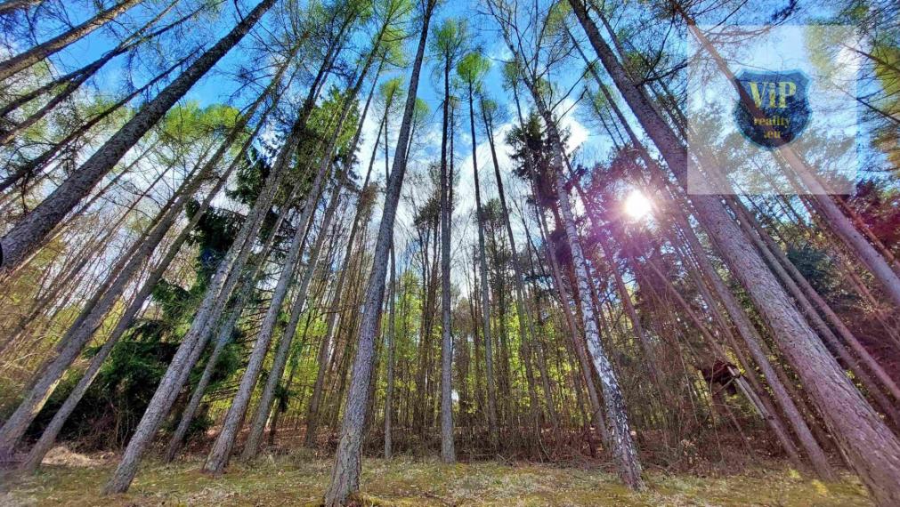 Video. Chata murovaná 90m2 + pozemok, Sliač - Trebuľa