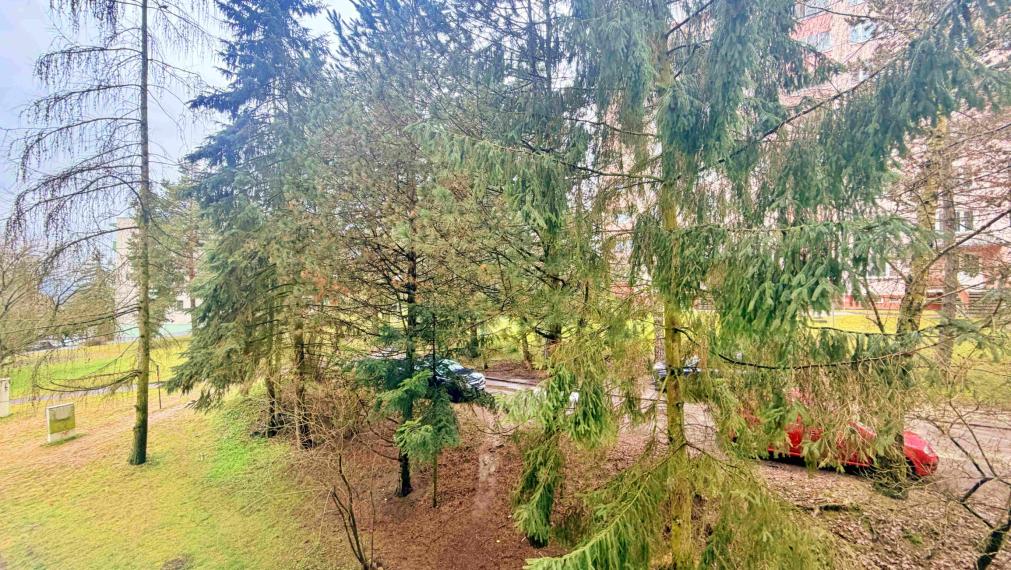 2-izbový byt s loggiou na Zlatom potoku – ticho a zeleň