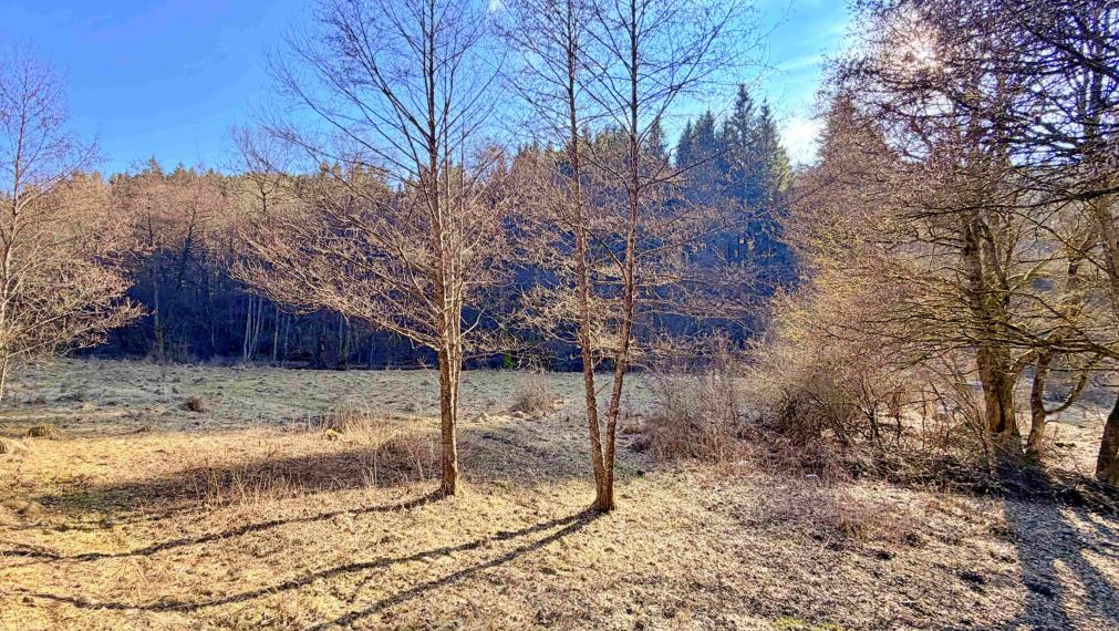 Mobilný dom v prírode – víkendový únik aj bývanie Ľubietová