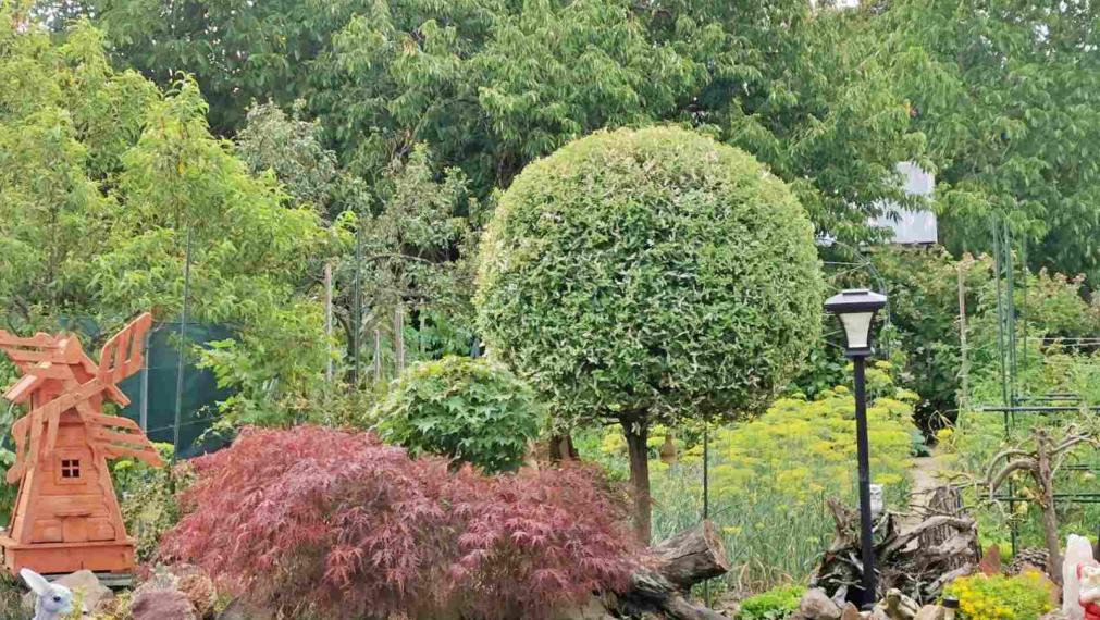 Rodinný dom s bazénom a záhradou na pozemku 1300 m² – Sliač